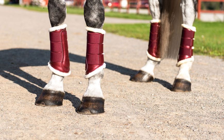 Ambient tricky synge Equestrian Stockholm Brushing Boots Bordeaux